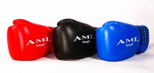 AML Sport перчатки боксерские ― НатурКлаб