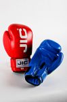 Перчатки боксерские с логотипом JIC, кожа 